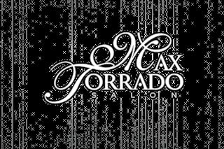 Ornate white text reading Max Forrado is a Lion on a black textured background with vertical streaks