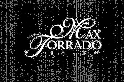 Ornate white text reading Max Forrado is a Lion on a black textured background with vertical streaks